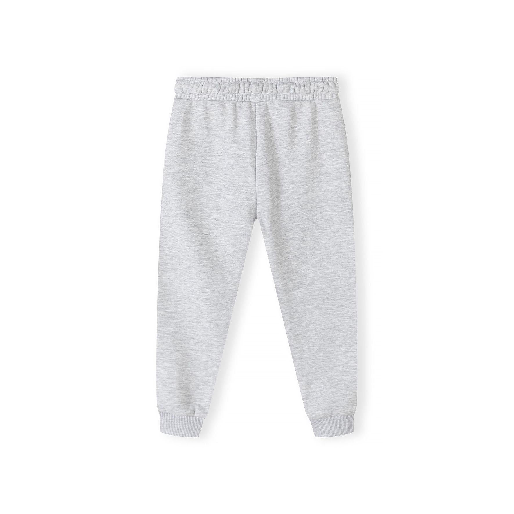 Back view of grey fleece joggers showing plain design without print, elasticated waistband and ribbed ankle cuffs, displayed flat against white background