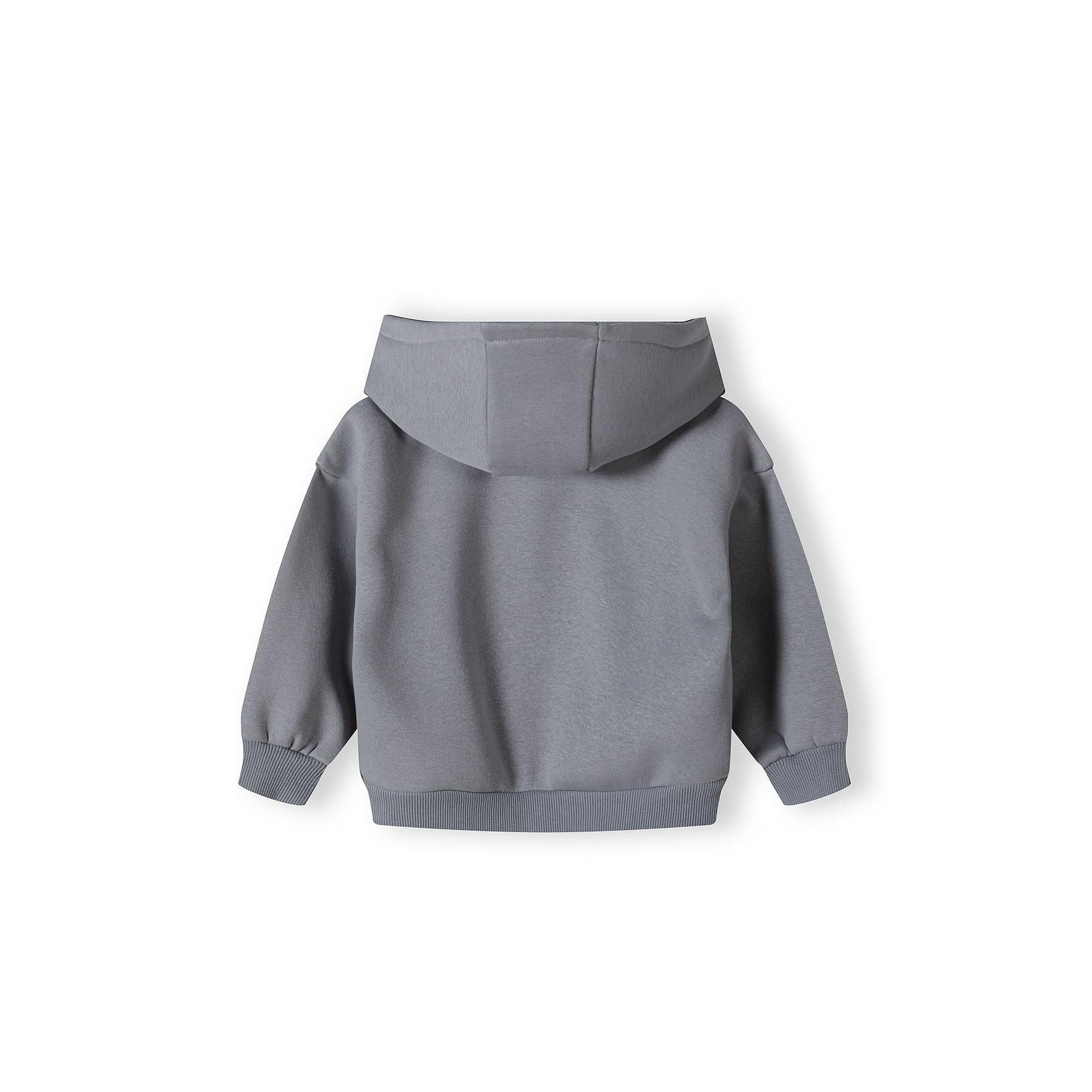Back view of grey fleece hoodie showing hood detail and relaxed fit on white background