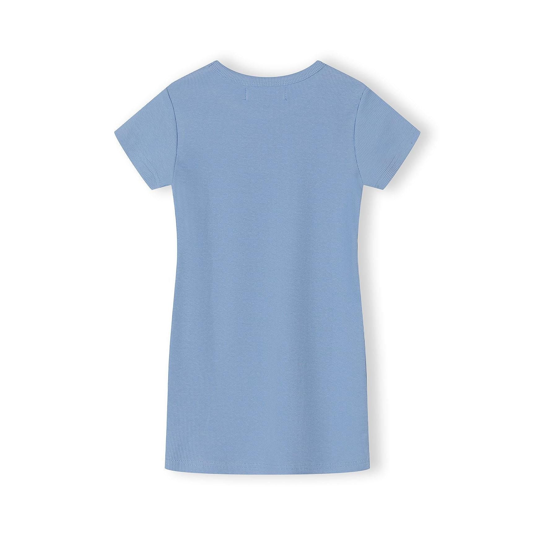 Back view of blue ribbed mini dress showing plain ribbed texture and short sleeve construction on white background