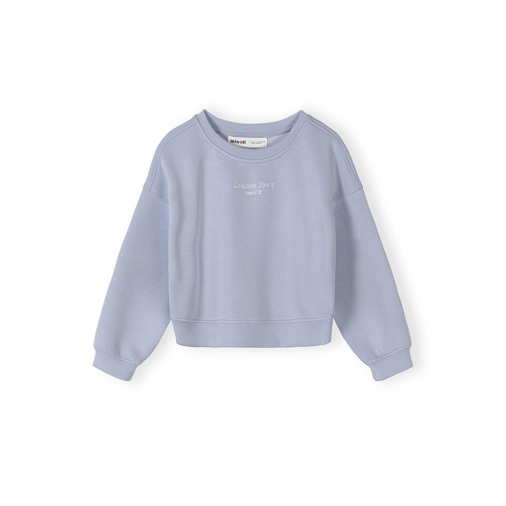Back view of light blue sweatshirt showing plain design with ribbed hem and cuffs on white background