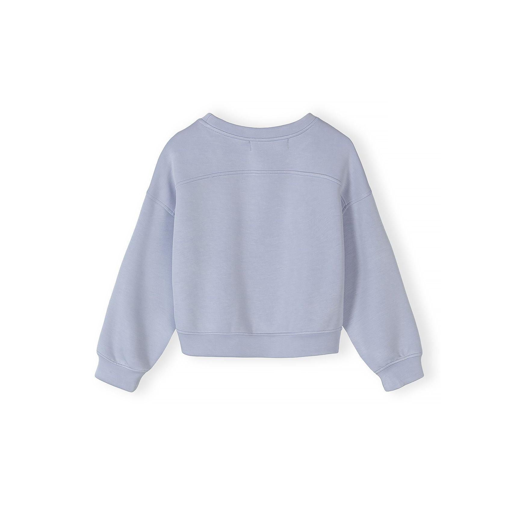 Back view of light blue sweatshirt showing plain design with ribbed hem and cuffs on white background