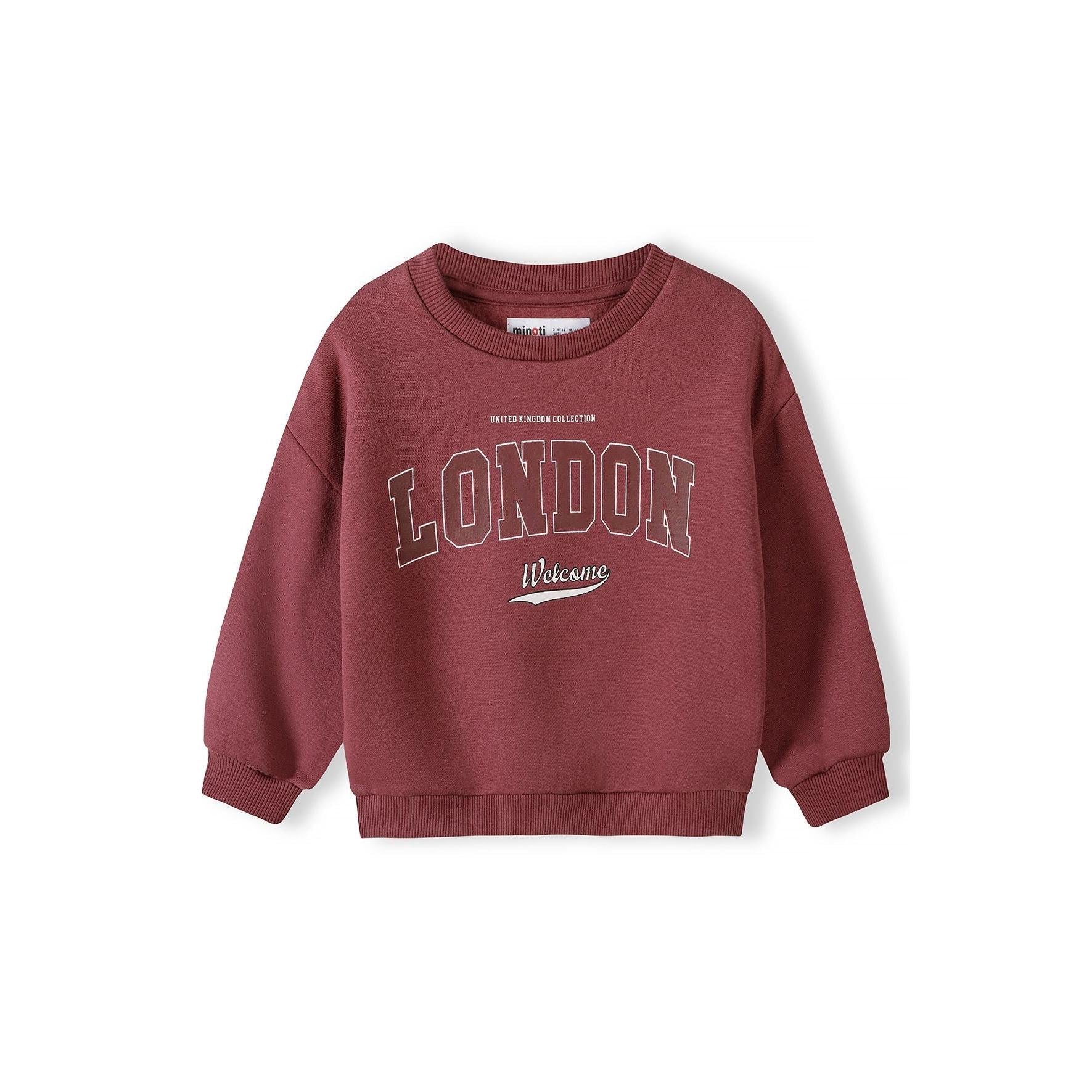 Back view of burgundy crew sweatshirt showing ribbed collar, balloon sleeves and ribbed hem against white background